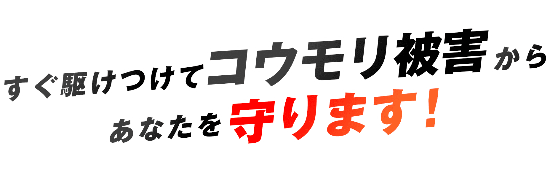 すぐ駆けつけてコウモリ被害からあなたを守ります！