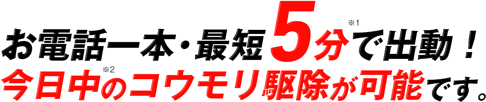 お電話一本・最短５分で出動！今日中のコウモリ駆除が可能です。