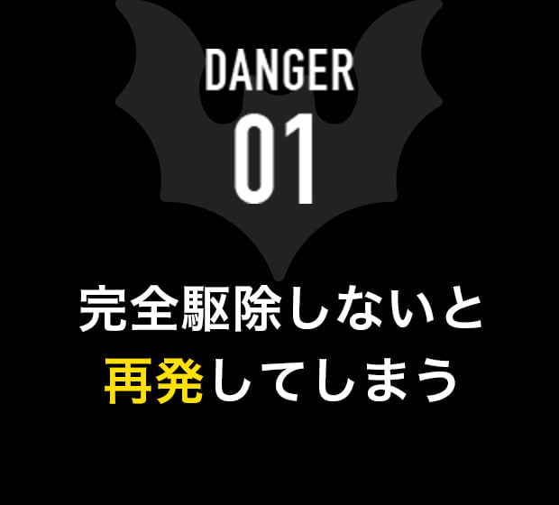 DANGER 01 完全駆除しないと再発してしまう