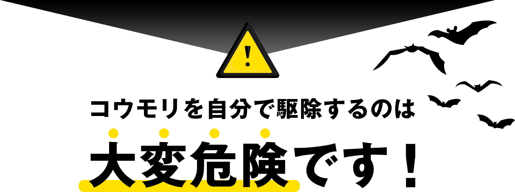 コウモリを自分で駆除するのは大変危険です！