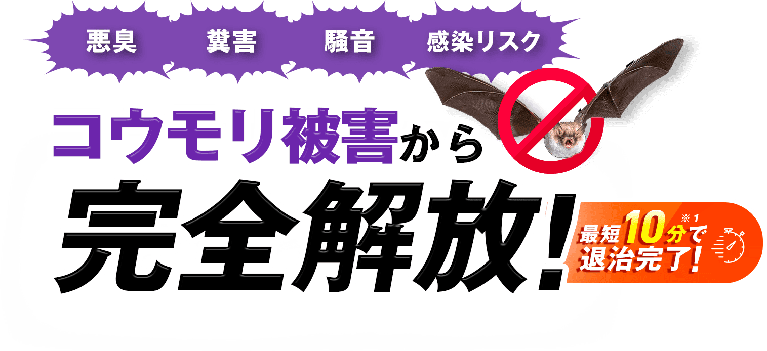 悪臭 糞害 騒音 感染リスク コウモリ被害から完全開放！最短10分で退治完了！