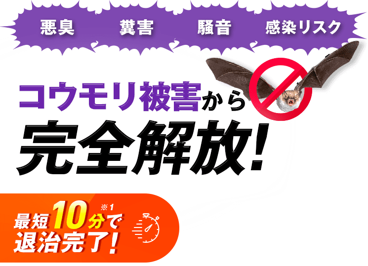 悪臭 糞害 騒音 感染リスク コウモリ被害から完全開放！最短10分で退治完了！