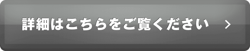 詳細はこちらをご覧ください