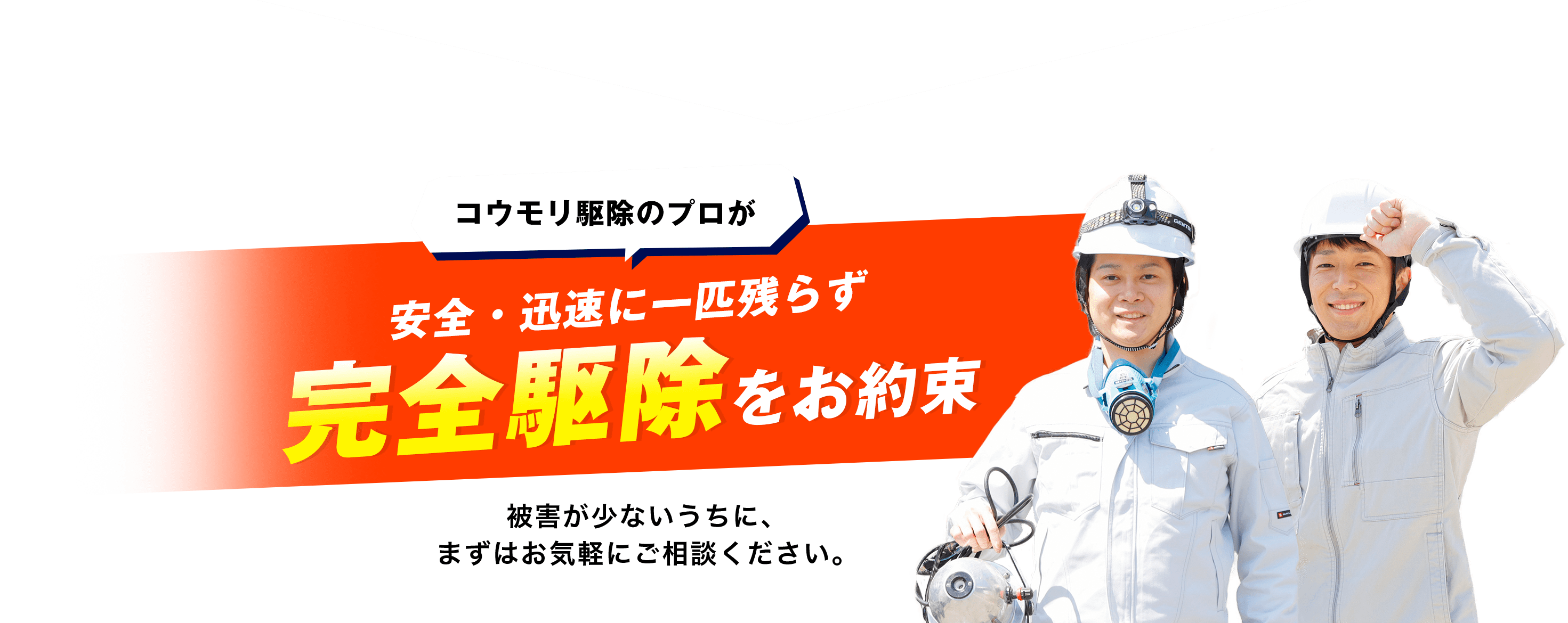 コウモリ駆除のプロが安全・迅速に一匹残らず完全駆除をお約束