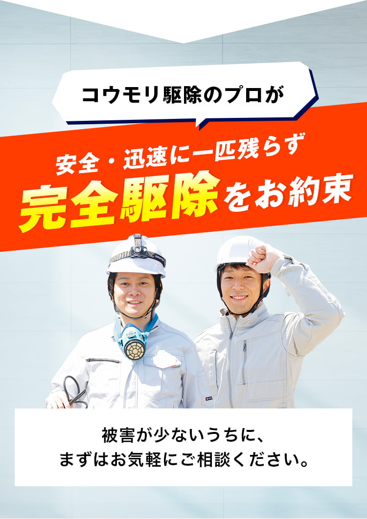 コウモリ駆除のプロが安全・迅速に一匹残らず完全駆除をお約束