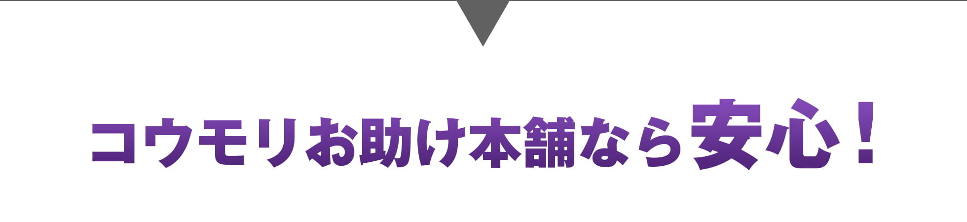 コウモリお助け本舗なら安心！