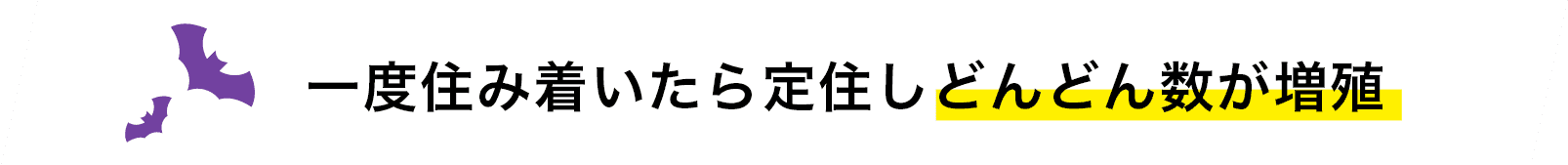 一度住み着いたら定住しどんどん数が増殖