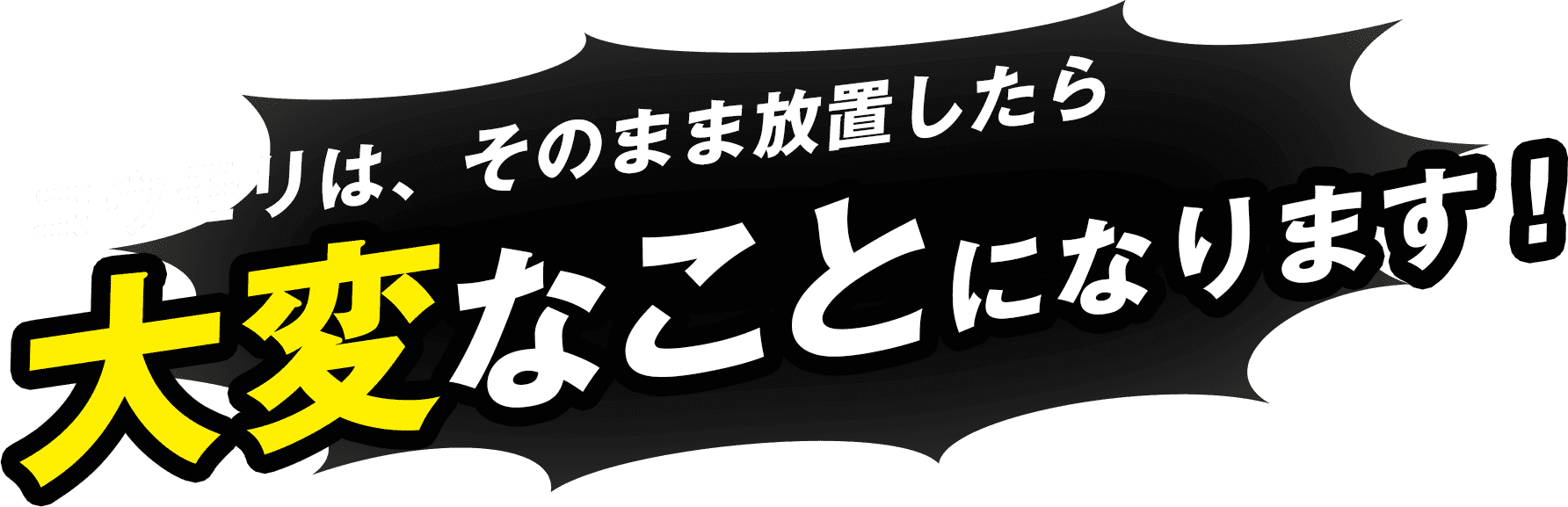 コウモリは、そのまま放置したら大変なことになります！