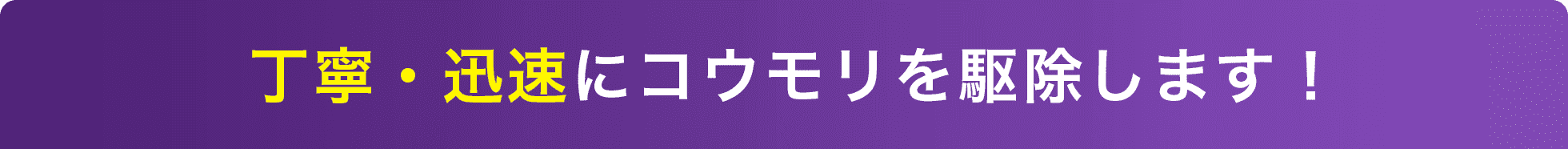 丁寧・迅速にコウモリを駆除します！